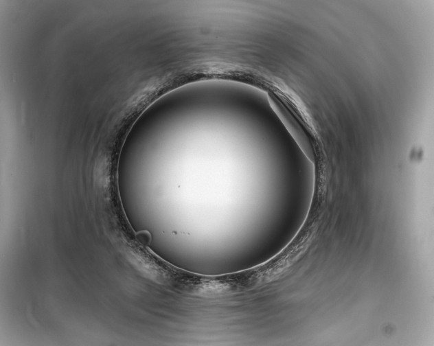 X0000099580257200805161243