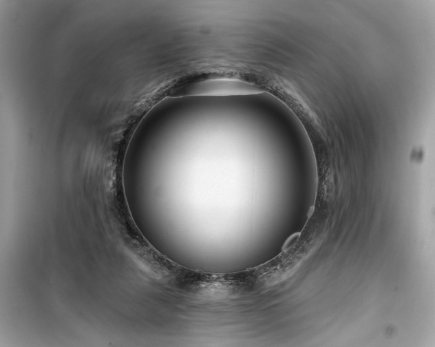 X0000099580259200805161243