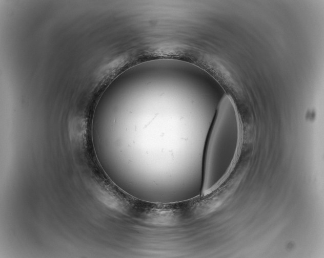 X0000099580260200805161243