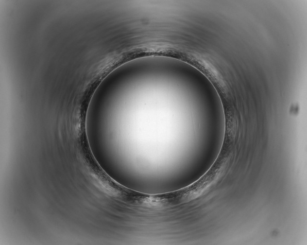 X0000099580261200805161243
