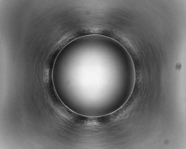 X0000099580262200805161243