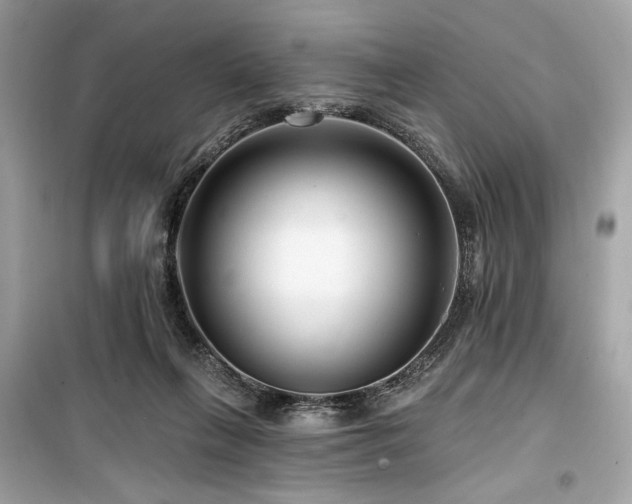 X0000099580263200805161243
