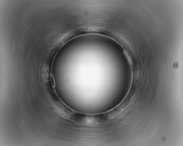 X0000099580264200805161243