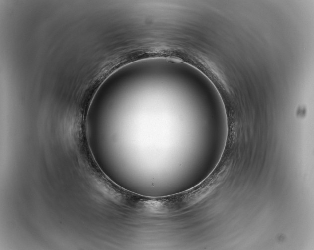 X0000099580265200805161243