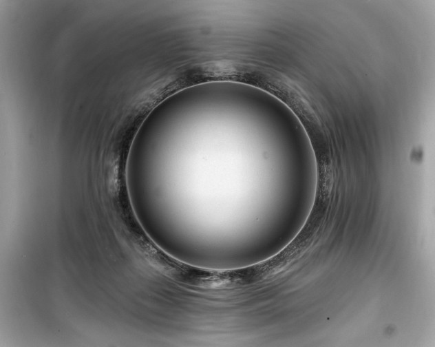 X0000099580267200805161243