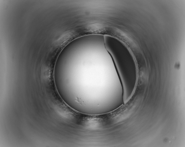 X0000099580268200805161243