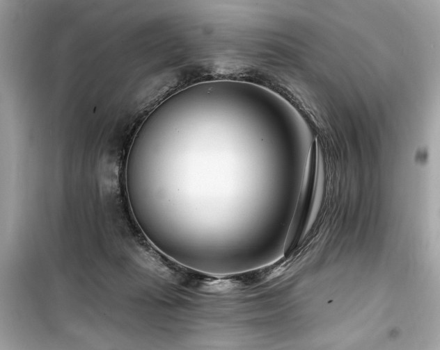 X0000099580269200805161243