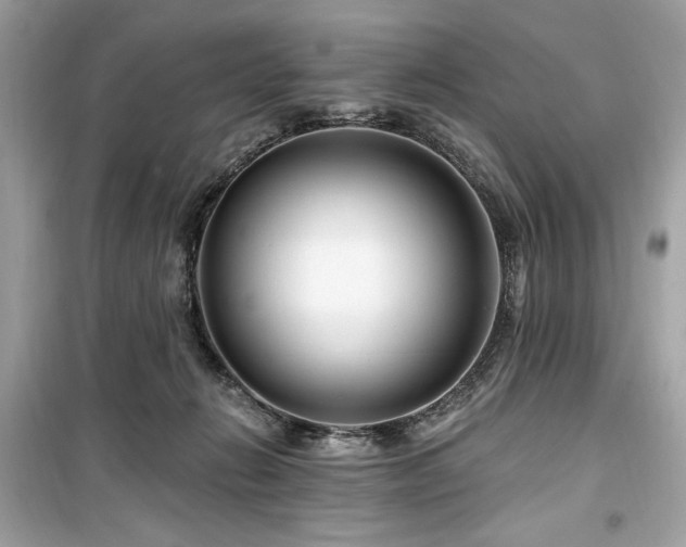 X0000099580270200805161243