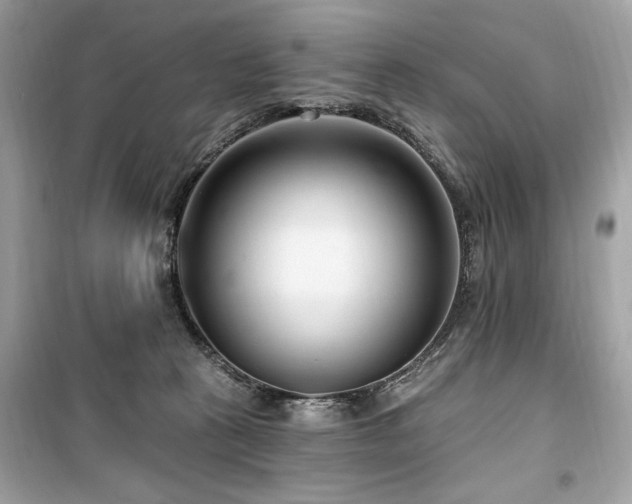 X0000099580273200805161243