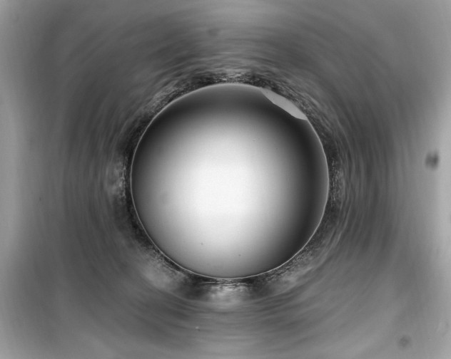 X0000099580274200805161243