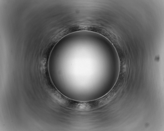 X0000099580275200805161243