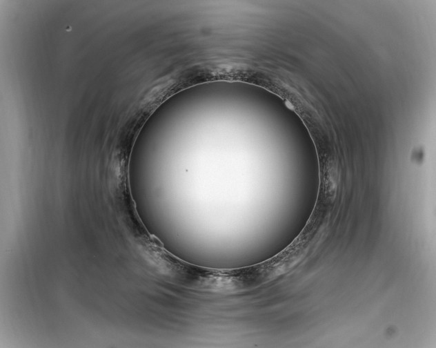 X0000099580276200805161243