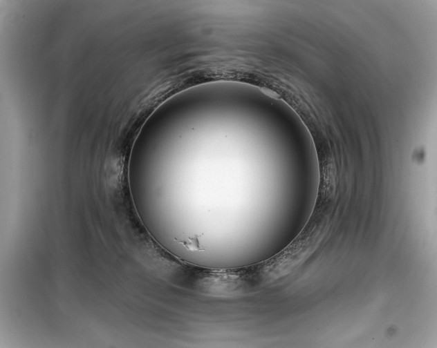 X0000099580278200805161243