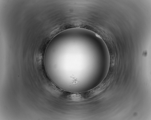 X0000099580279200805161243