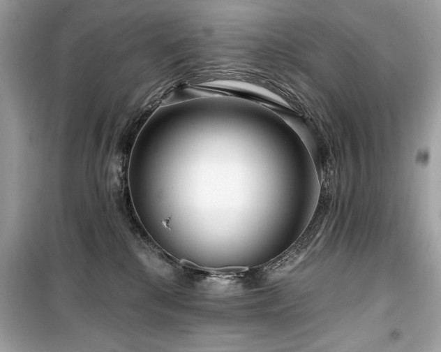 X0000099580280200805161243