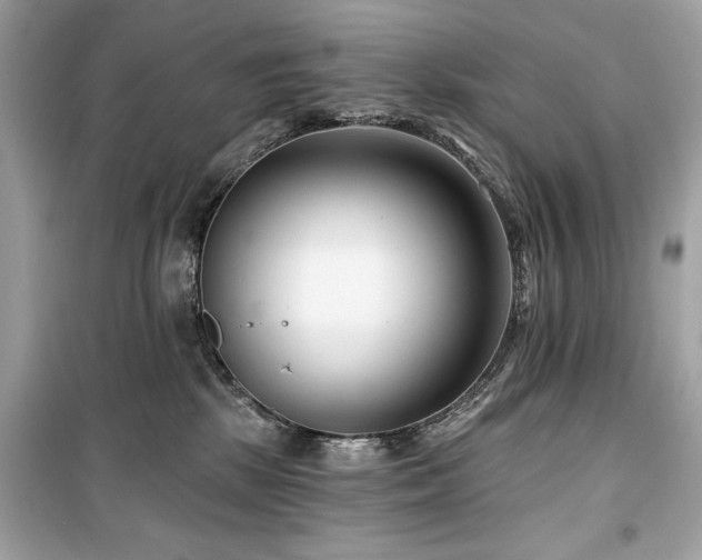 X0000099580281200805161243