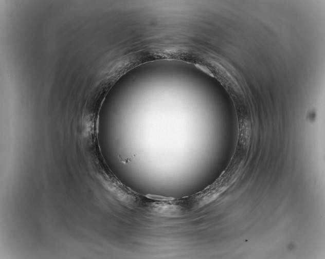 X0000099580284200805161243