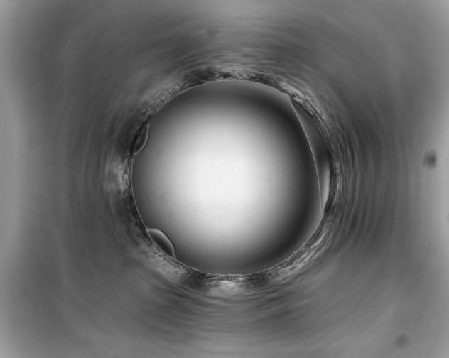 X0000099580285200805161243