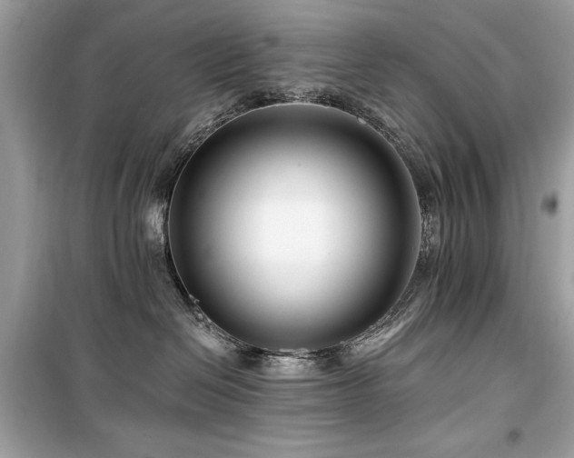 X0000099580286200805161243