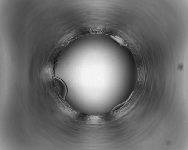 X0000099580287200805161243