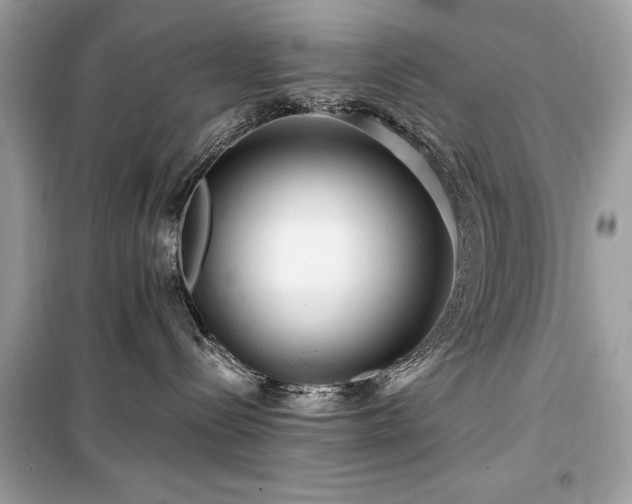 X0000099580288200805161243