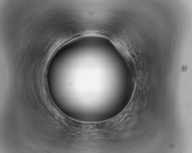 X0000099580289200805161242