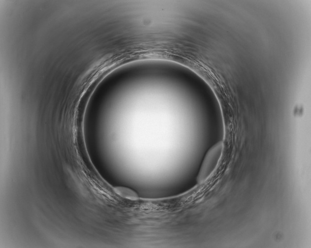 X0000099580290200805161242