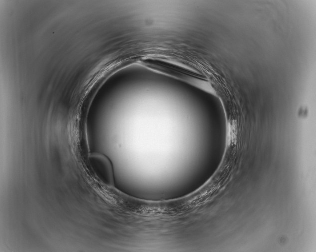X0000099580291200805161242