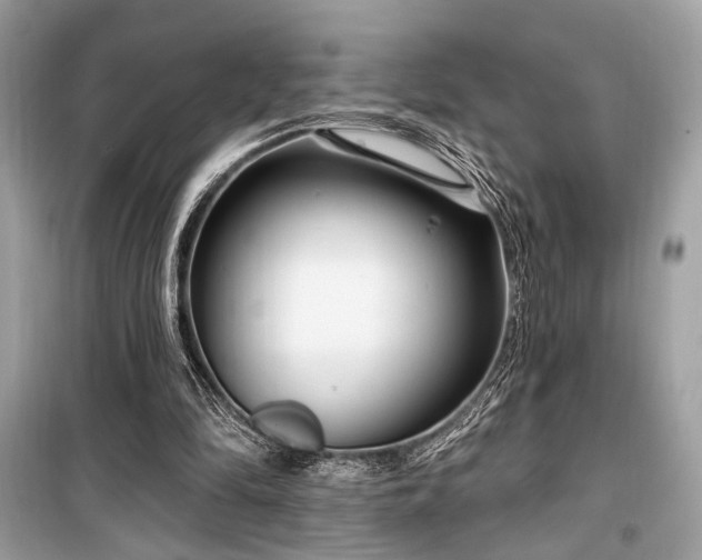 X0000099580294200805161242