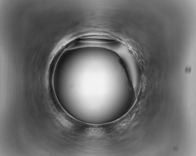 X0000099580296200805161242