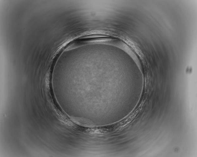 X0000099580297200805161242