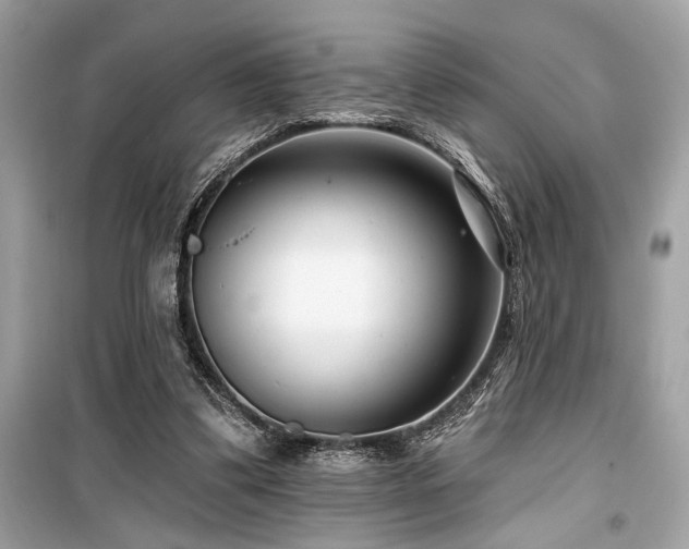 X0000099580299200805161242