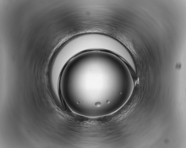 X0000099580300200805161242