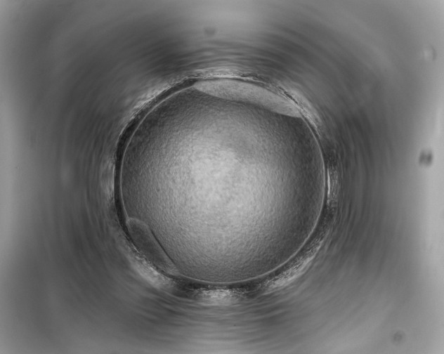 X0000099580301200805161242