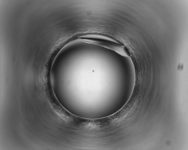 X0000099580303200805161242
