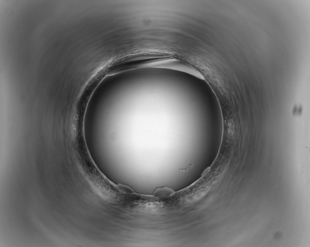 X0000099580304200805161242
