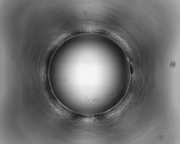 X0000099580306200805161242