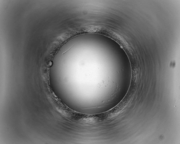 X0000099580307200805161242