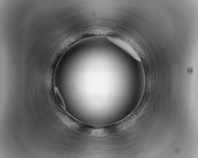 X0000099580309200805161242