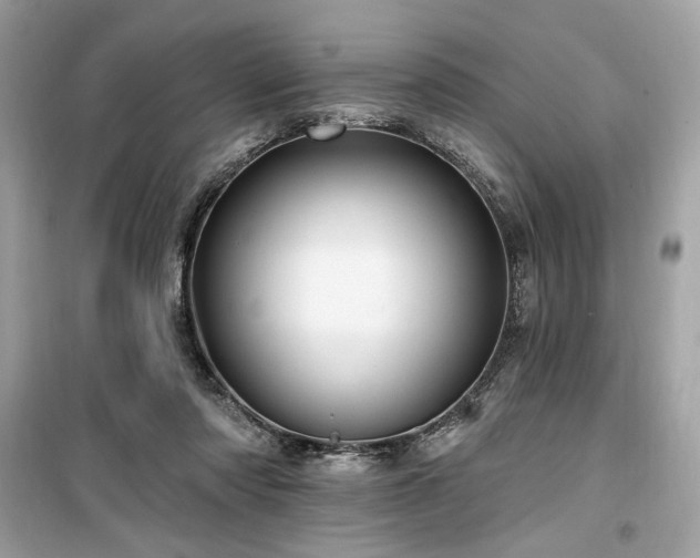 X0000099580310200805161242