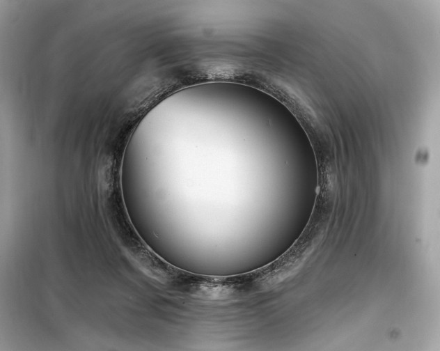 X0000099580311200805161242