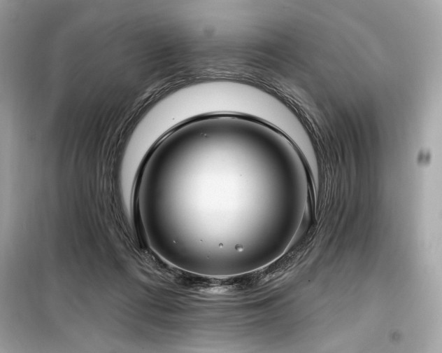 X0000099580312200805161242