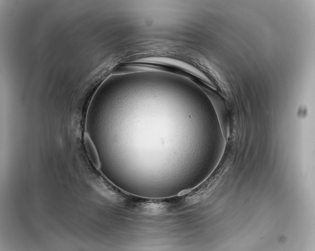 X0000099580313200805161242
