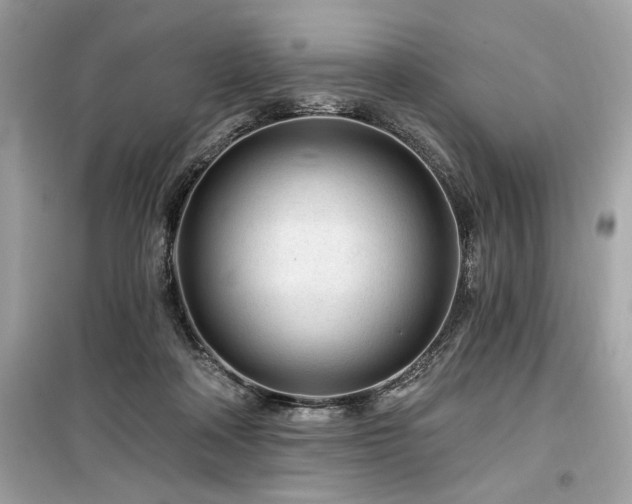 X0000099580314200805161242