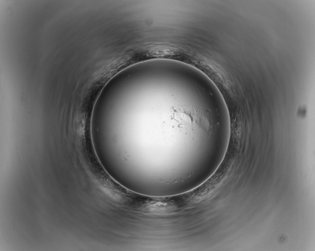 X0000099580315200805161242