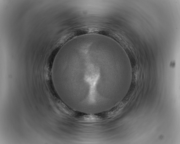 X0000099580316200805161242