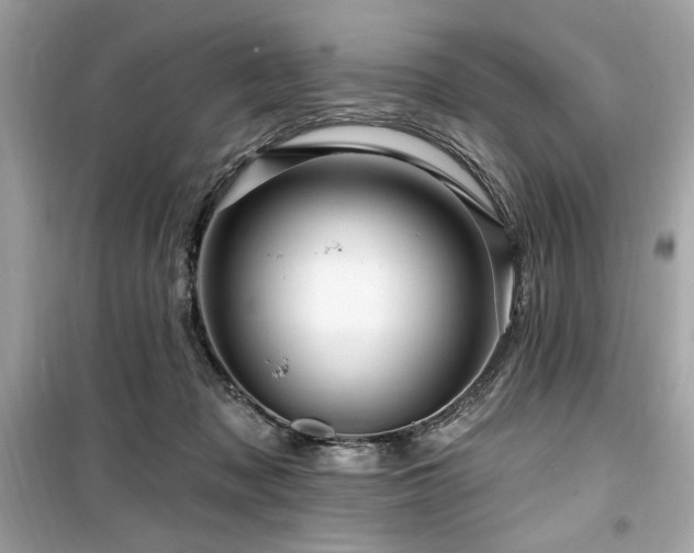X0000099580317200805161242