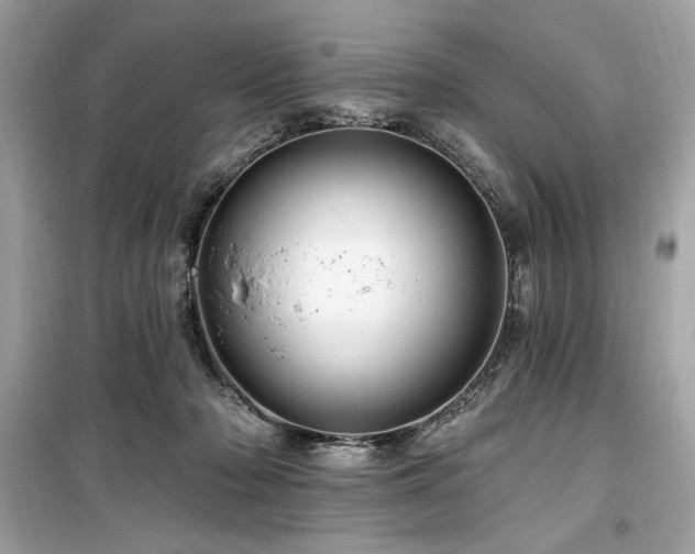 X0000099580318200805161242
