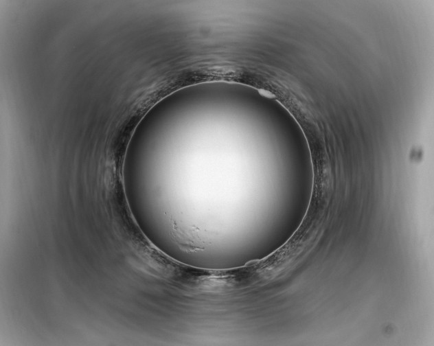 X0000099580320200805161242