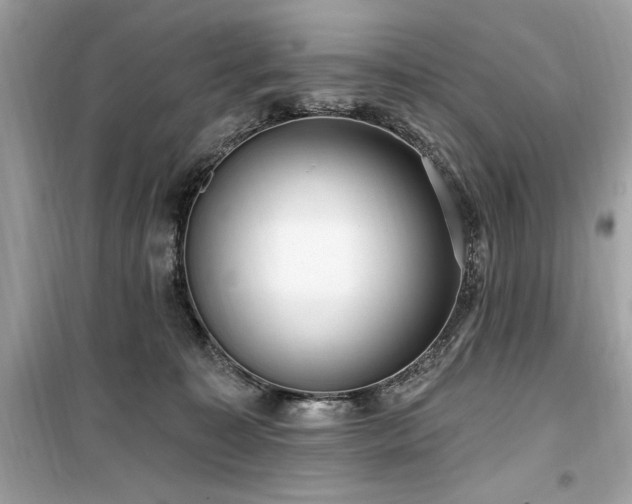 X0000099580323200805161242